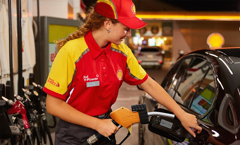 Profesyonel Hizmetler